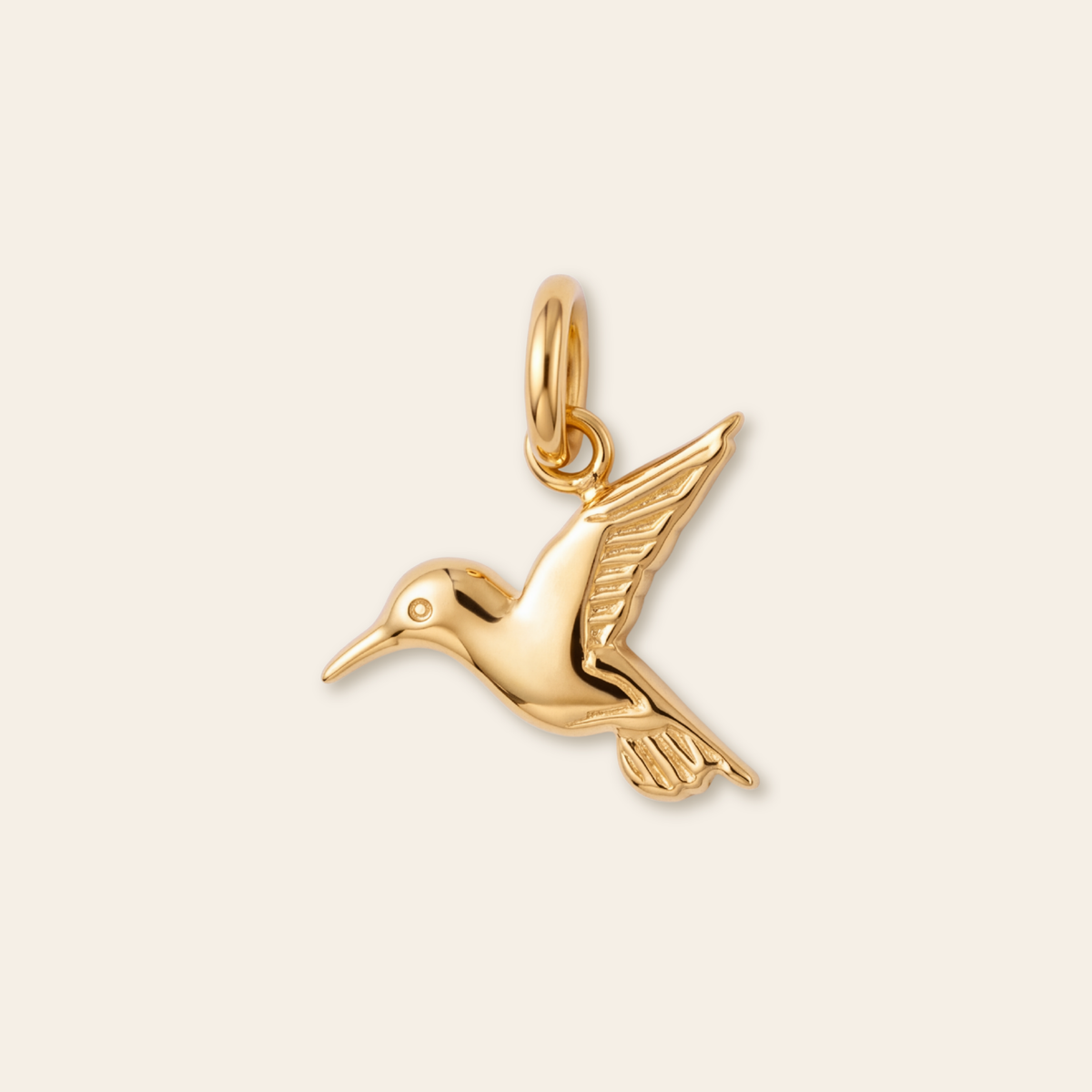 Hummingbird Charm