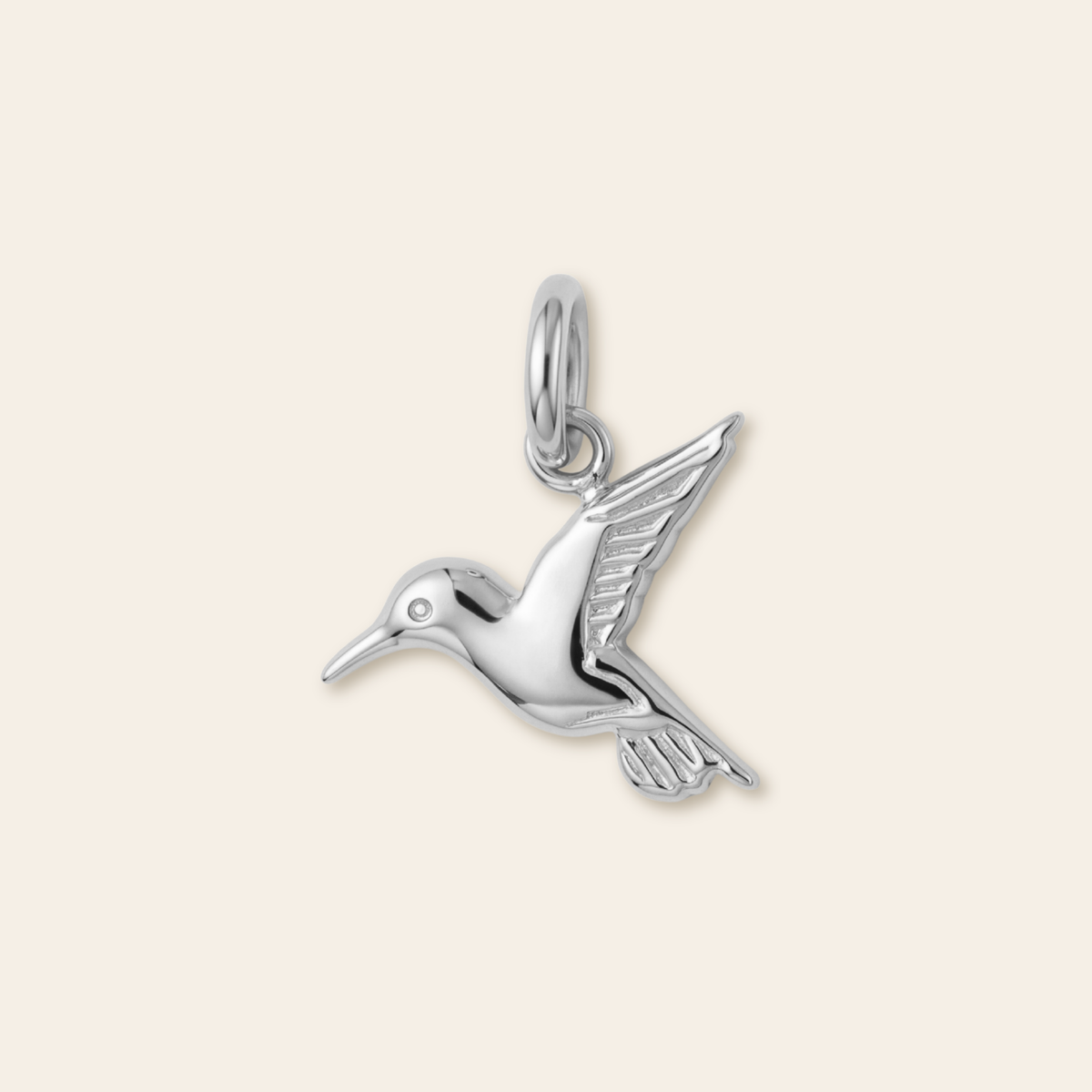Hummingbird Charm