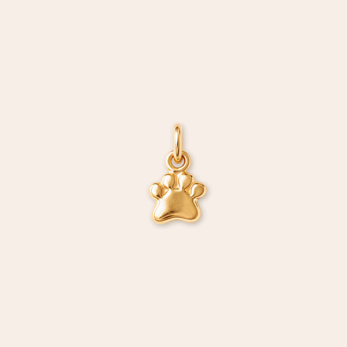 Paw Charm