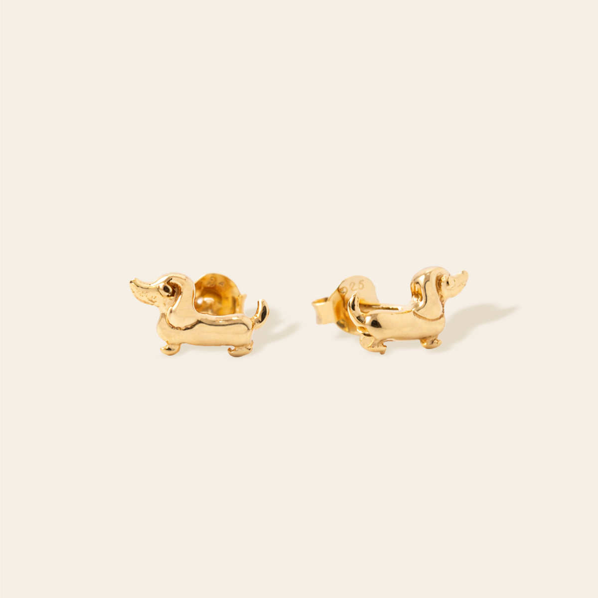 Dachshund Studs