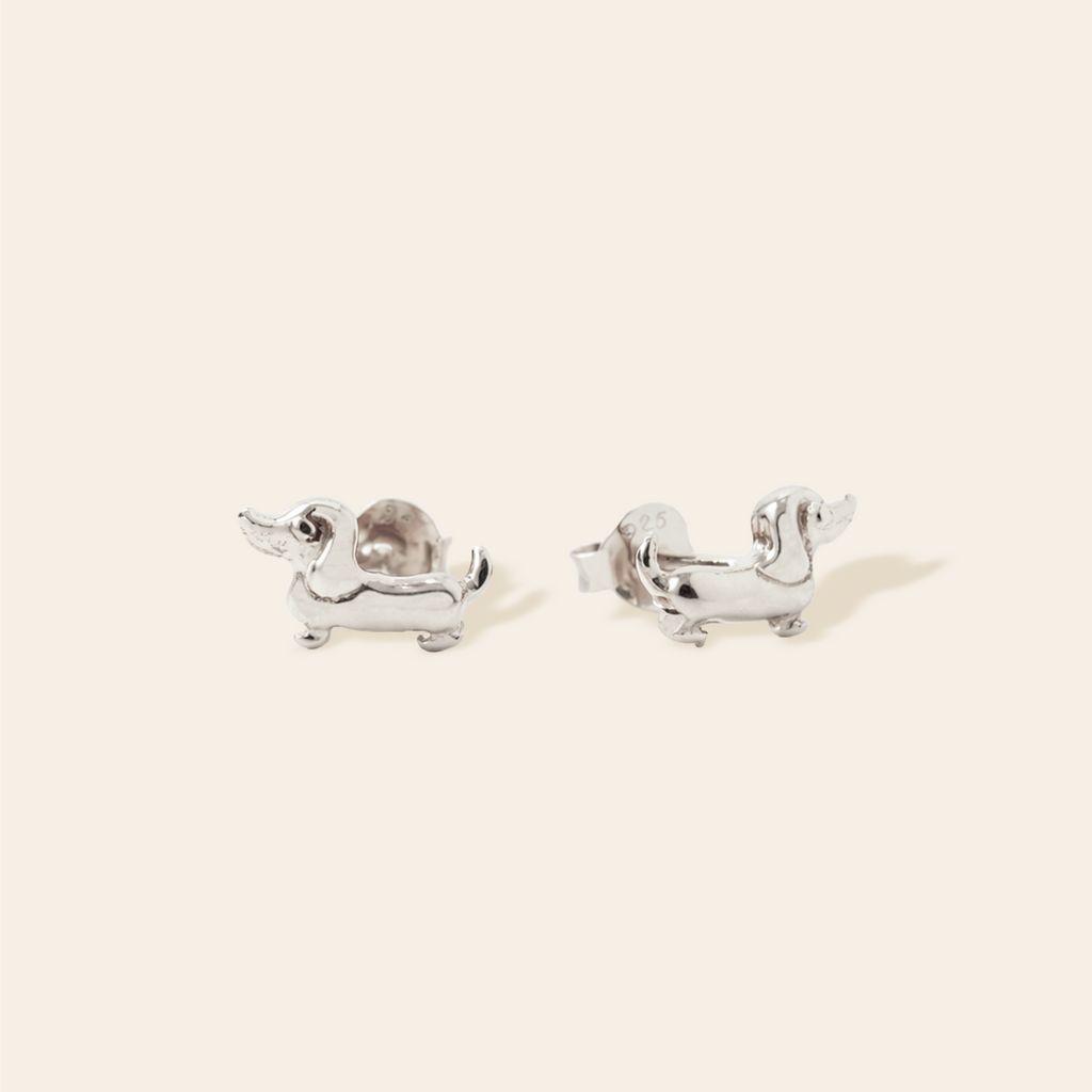 Dachshund Studs