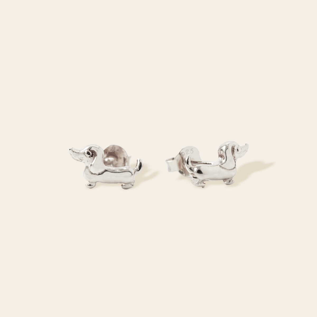 Dachshund Studs